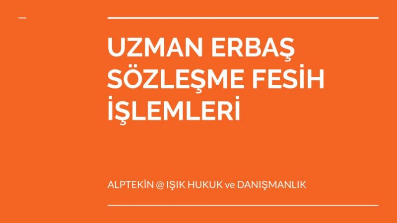 30 Günden Fazla Hapis Cezası Alması Nedeniyle Sözleşmesi Feshedilen Uzman Erbaş Hakkında Emsal Karar